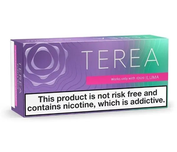 IQOS TEREA — Purple Wave Large